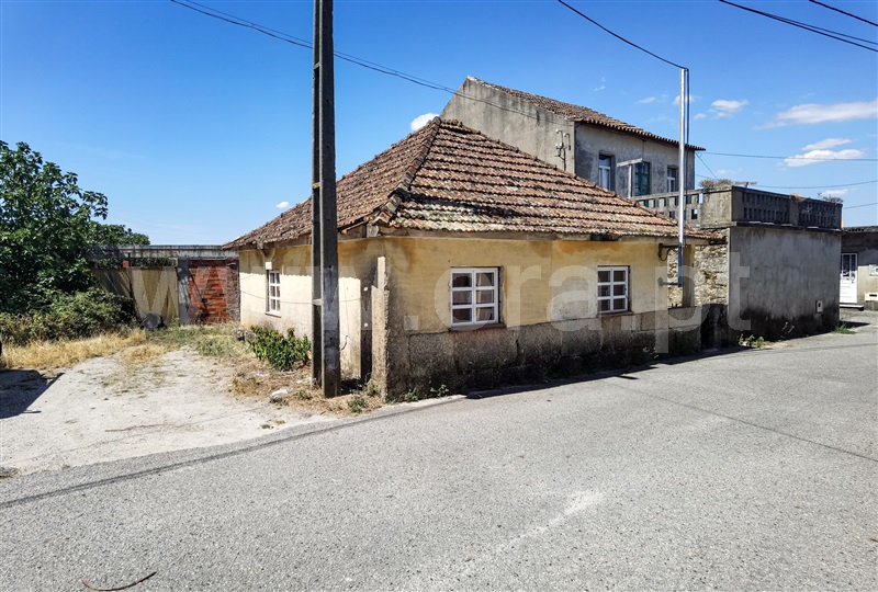 Terreno com ruina / Oliveira do Hospital, Lagares