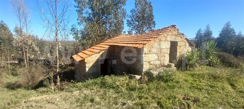 Terreno com ruina / Oliveira do Hospital, Travanca de Lagos