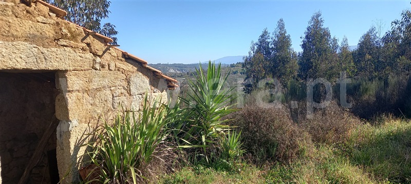 Terreno com ruina  Oliveira do Hospital, Travanca de Lagos - 1315472 - 5