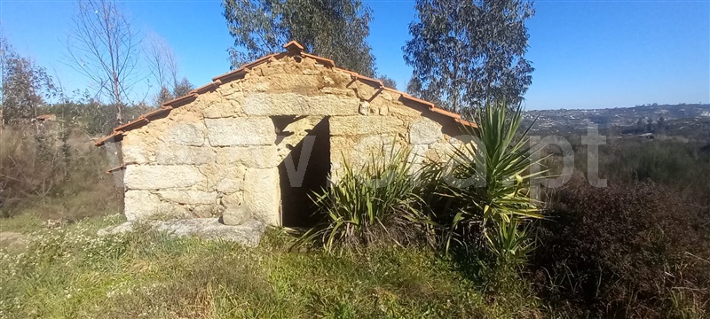 Terreno com ruina  Oliveira do Hospital, Travanca de Lagos - 1315472 - 9