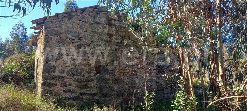 Terreno com ruina  Oliveira do Hospital, Travanca de Lagos - 1315472 - 10