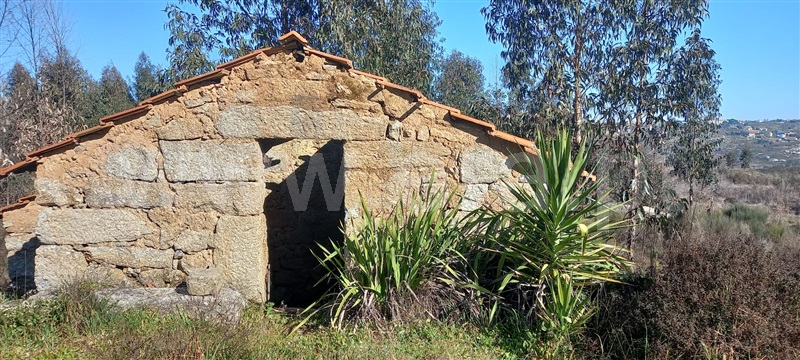 Terreno com ruina  Oliveira do Hospital, Travanca de Lagos - 1315472 - 13