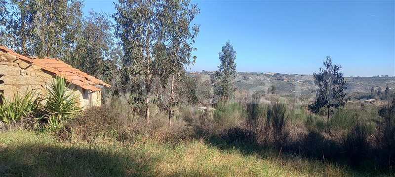 Terreno com ruina  Oliveira do Hospital, Travanca de Lagos - 1315472 - 15