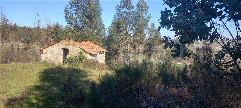 Terreno com ruina  Oliveira do Hospital, Travanca de Lagos - 1315472 - 18