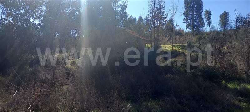 Terreno com ruina  Oliveira do Hospital, Travanca de Lagos - 1315472 - 19