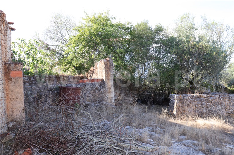 Terreno com ruina  Ourém, Atouguia - 1116481 - 5