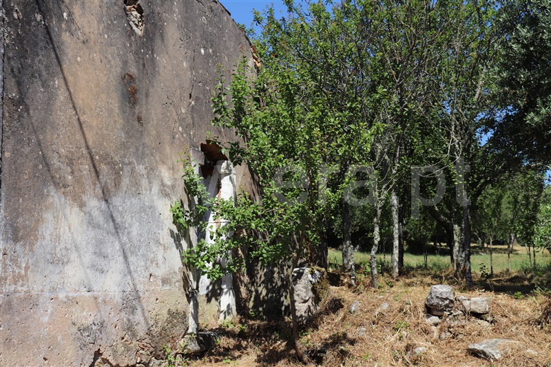 Terreno com ruina  Ourém, Fátima - 1094953 - 3