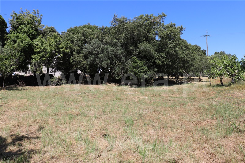 Terreno com ruina  Ourém, Fátima - 1094953 - 4