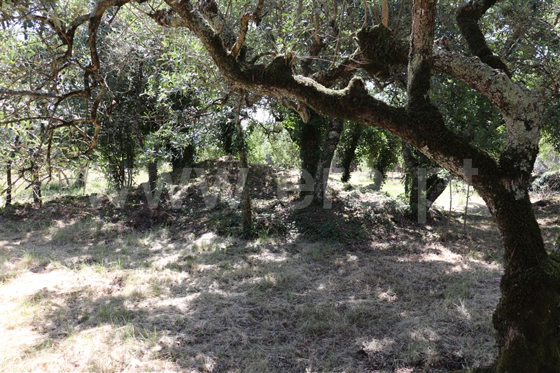 Terreno com ruina  Ourém, Fátima - 1094953 - 5