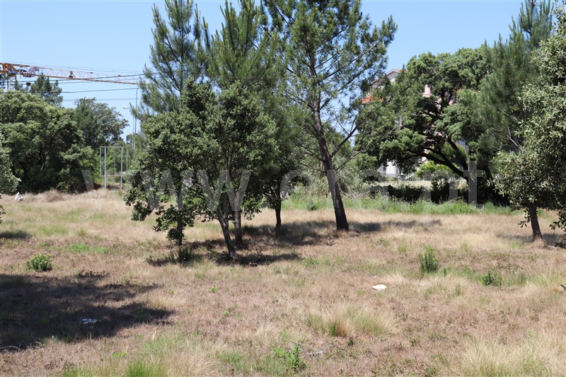 Terreno com ruina  Ourém, Fátima - 1094953 - 6