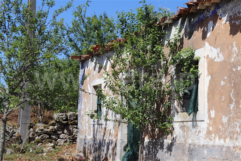 Terreno com ruina  Ourém, Fátima - 1094953 - 2