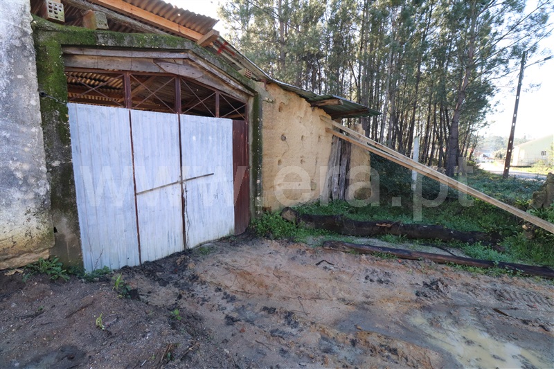 Moradia Rústica  Ourém, Freixianda, Ribeira do Fárrio e Formigais - 1296531 - 3