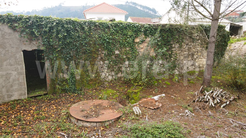 Loja  Ourém, Gondemaria e Olival - 1370139 - 6