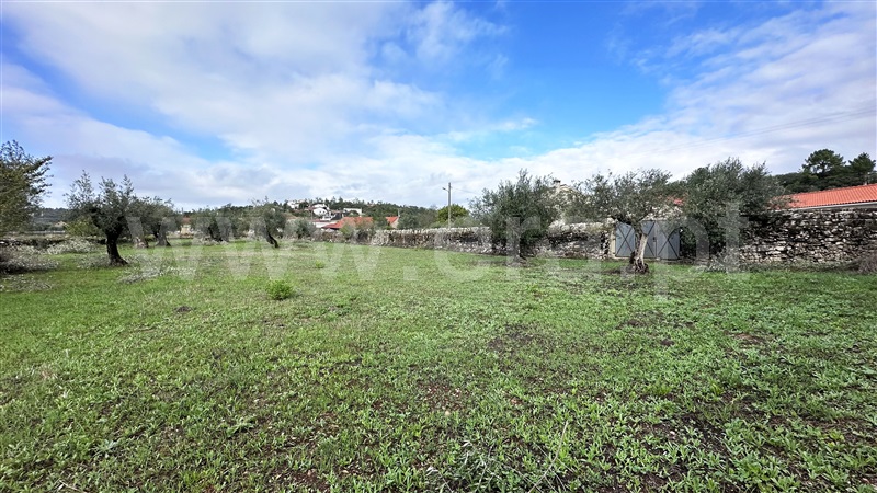 Terreno com ruina  Ourém, Nossa Senhora das Misericórdias - 1362746 - 13