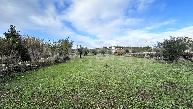 Terreno com ruina  Ourém, Nossa Senhora das Misericórdias - 1362746 - 14