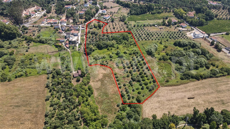 Terreno com ruina  com Urbano Ourém, Nossa Senhora das Misericórdias - 1416985 - 13