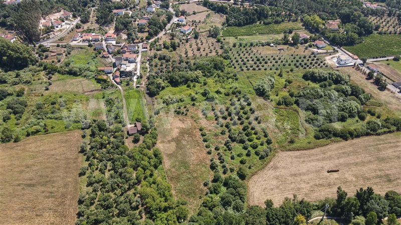 Terreno com ruina  com Urbano Ourém, Nossa Senhora das Misericórdias - 1416985 - 14