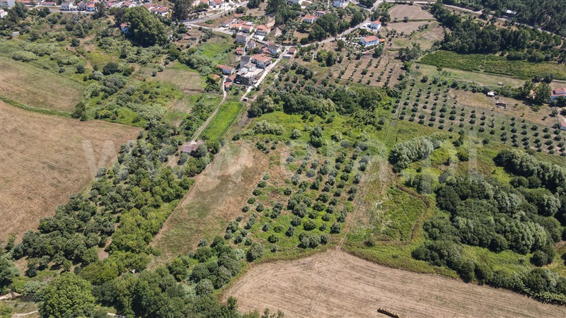 Terreno com ruina  com Urbano Ourém, Nossa Senhora das Misericórdias - 1416985 - 16