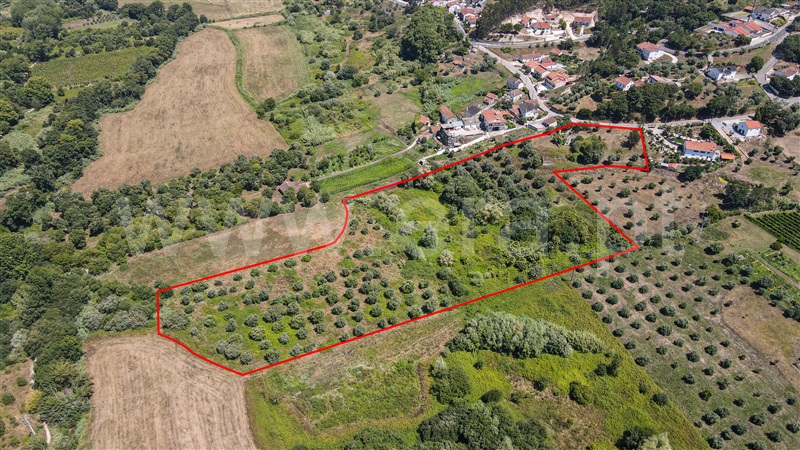 Terreno com ruina  com Urbano Ourém, Nossa Senhora das Misericórdias - 1416985 - 17