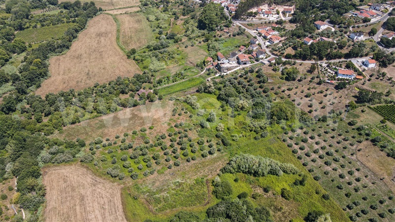 Terreno com ruina  com Urbano Ourém, Nossa Senhora das Misericórdias - 1416985 - 18