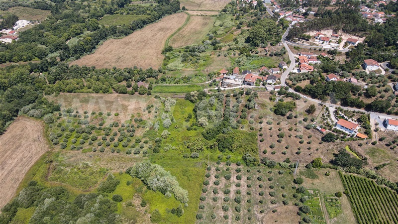 Terreno com ruina  com Urbano Ourém, Nossa Senhora das Misericórdias - 1416985 - 19