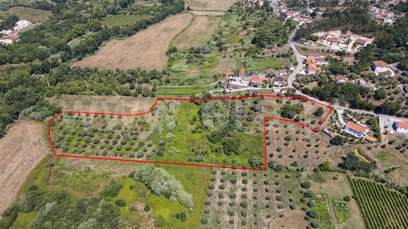 Terreno com ruina  com Urbano Ourém, Nossa Senhora das Misericórdias - 1416985 - 20