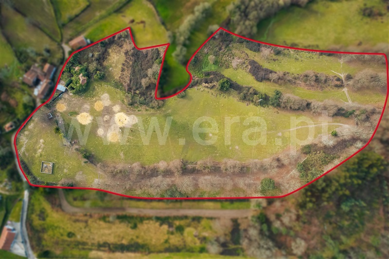 Terreno com ruina  Paços de Ferreira - 1135704 - 8
