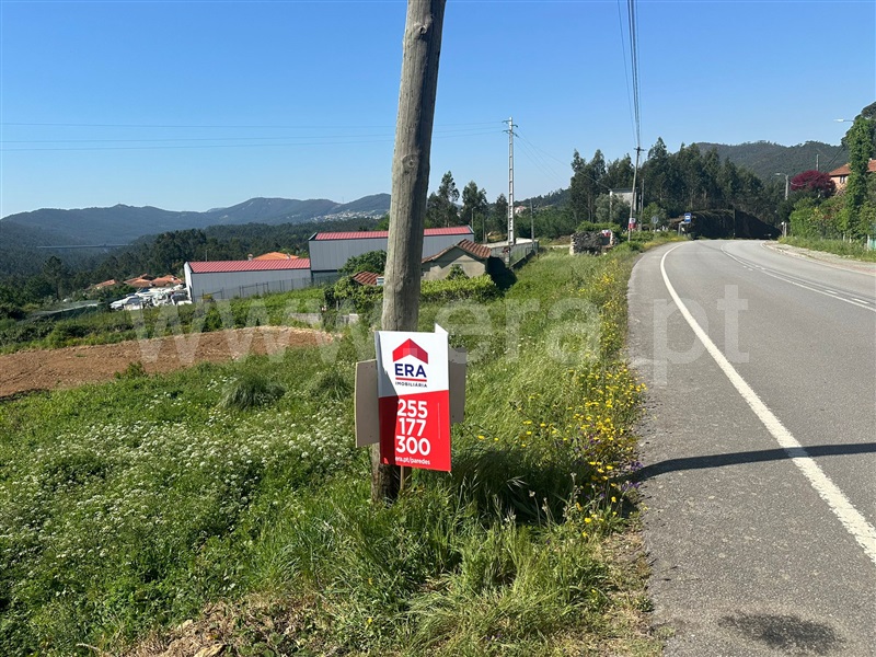 Terreno com ruina / Paredes, Aguiar de Sousa