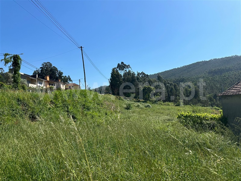 Terreno com ruina  Paredes, Aguiar de Sousa - 1397169 - 10