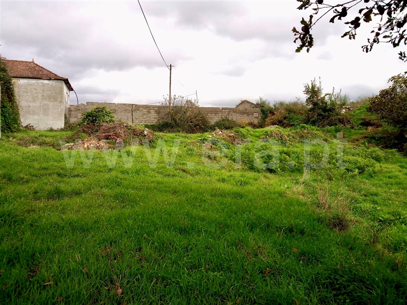 Terreno com ruina  Paredes, Beire - 1131518 - 4
