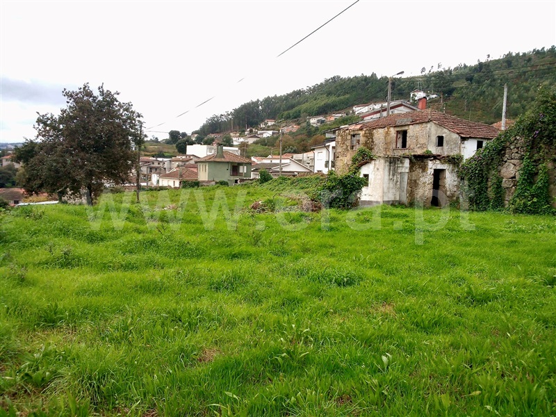 Terreno com ruina  Paredes, Beire - 1131518 - 6