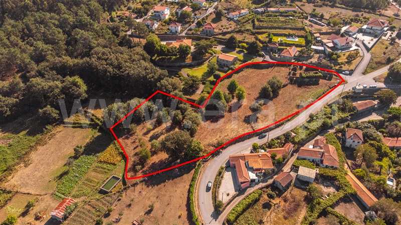 Terreno com ruina  Paredes de Coura, Agualonga - 1410481 - 6