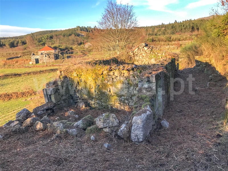 Terreno com ruina  Paredes de Coura, Cossourado e Linhares - 1311431 - 13