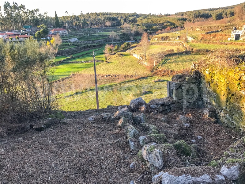 Terreno com ruina  Paredes de Coura, Cossourado e Linhares - 1311431 - 14