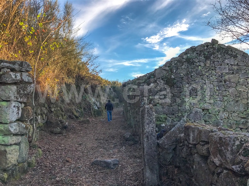 Terreno com ruina  Paredes de Coura, Cossourado e Linhares - 1311431 - 17