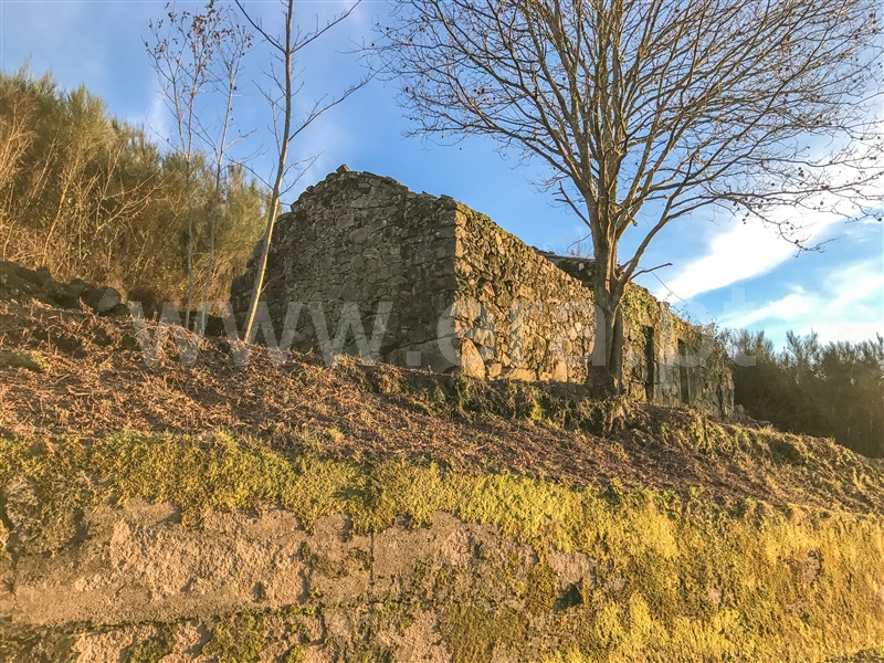 Terreno com ruina / Paredes de Coura, Cossourado e Linhares
