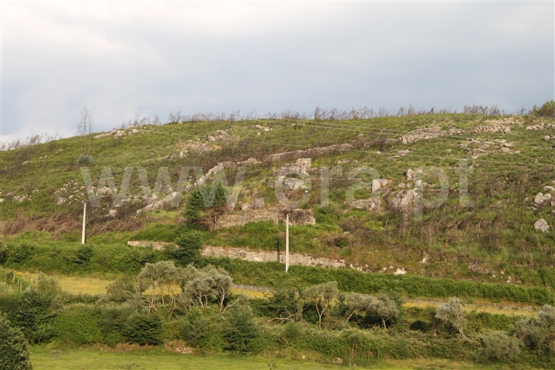Terreno com ruina  Paredes de Coura, Cossourado e Linhares - 1311431 - 21