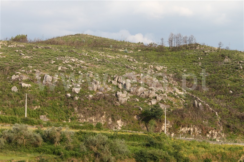 Terreno com ruina  Paredes de Coura, Cossourado e Linhares - 1311431 - 22