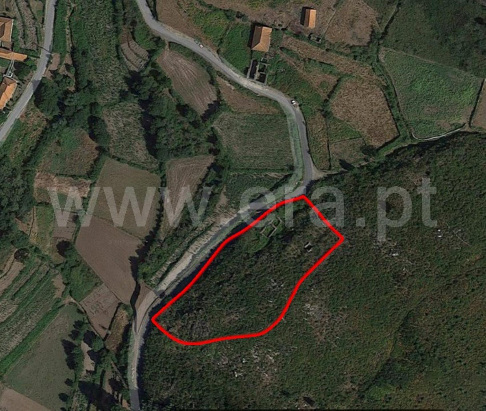 Terreno em Paredes de Coura