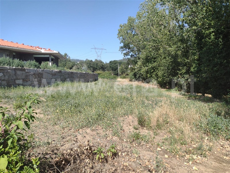 Terreno com ruina  com Rústico Paredes, Gandra - 1263965 - 10