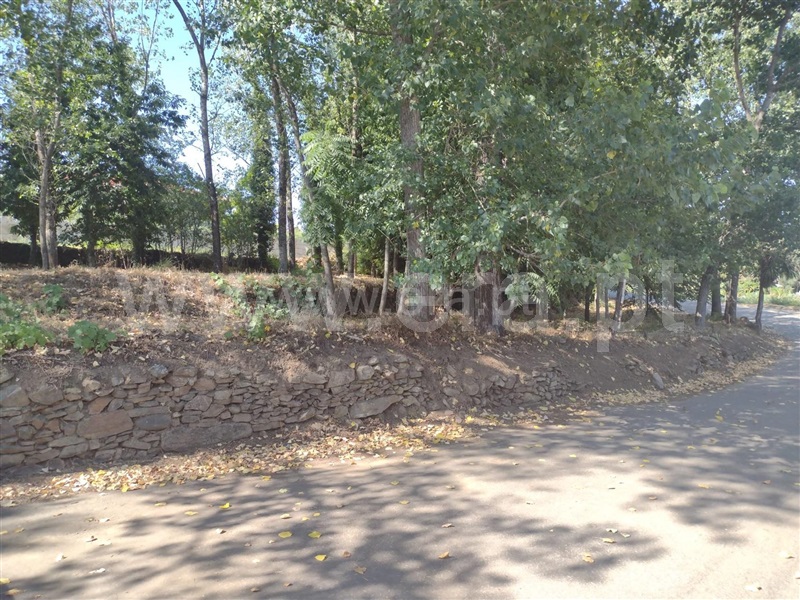 Terreno com ruina  com Rústico Paredes, Gandra - 1263965 - 11