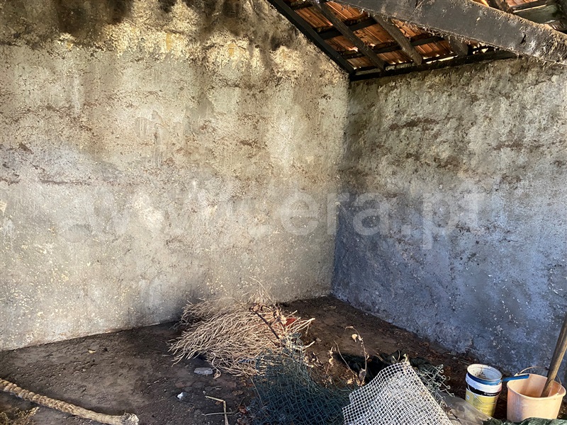 Terreno com ruina  Paredes, Vilela - 1317332 - 4