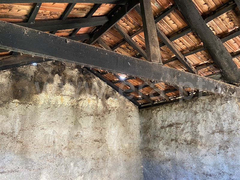 Terreno com ruina  Paredes, Vilela - 1317332 - 6