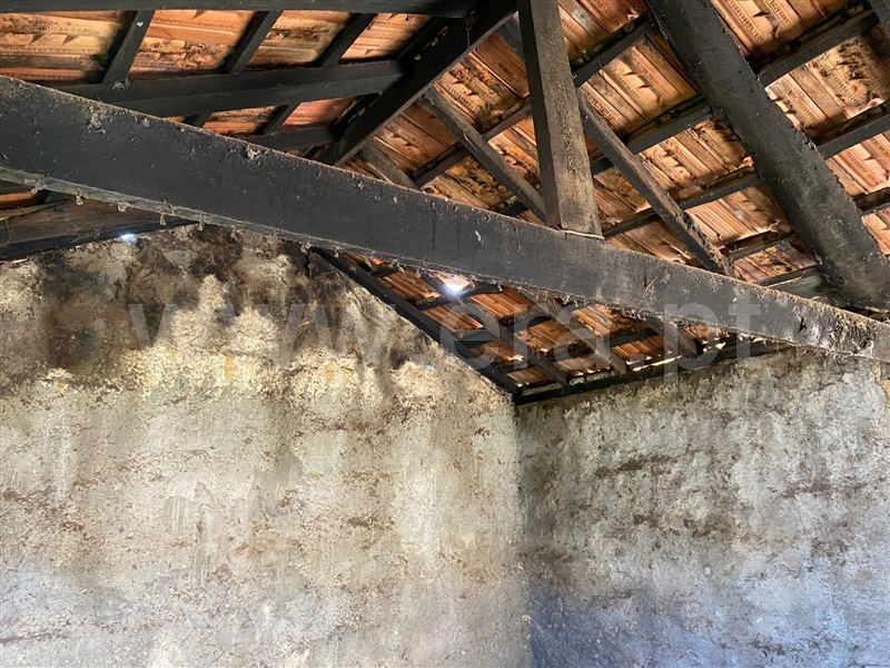 Terreno com ruina  Paredes, Vilela - 1317332 - 23