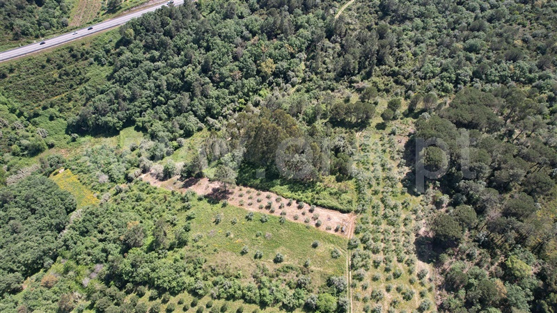 Terreno com ruina  Pedrógão Grande, Graça - 1403472 - 3