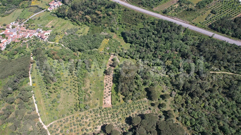 Terreno com ruina  Pedrógão Grande, Graça - 1403472 - 4