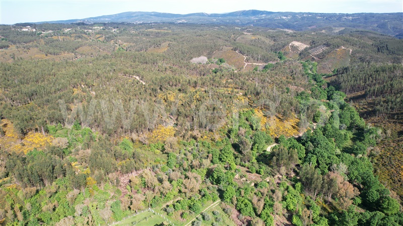 Terreno com ruina  Pedrógão Grande, Graça - 1403472 - 10