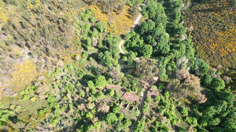 Terreno com ruina  Pedrógão Grande, Graça - 1403472 - 12