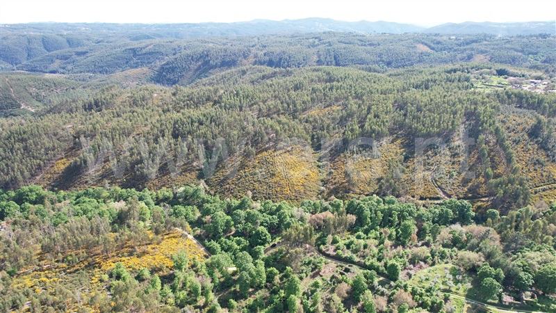 Terreno com ruina  Pedrógão Grande, Graça - 1403472 - 13