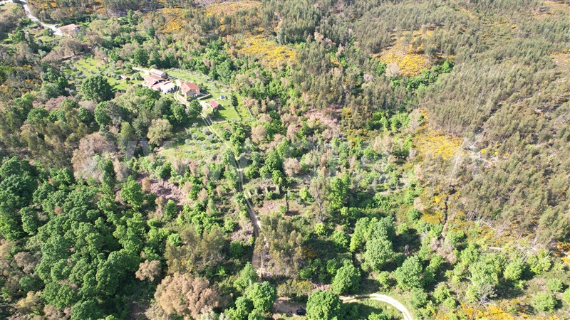 Terreno com ruina  Pedrógão Grande, Graça - 1403472 - 14